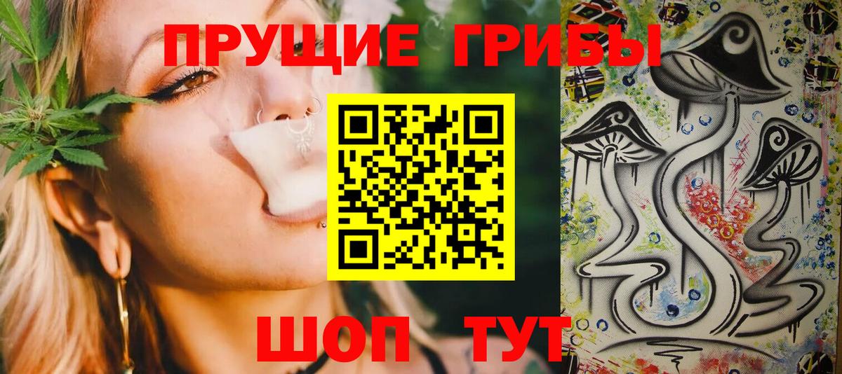 Псилоцибиновые грибы Psilocybe Фурманов
