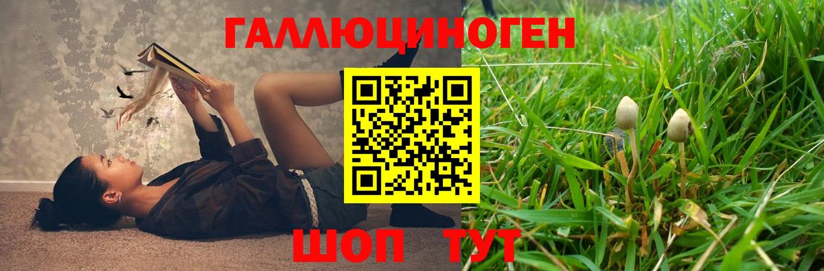 Псилоцибиновые грибы мухоморы  Вход с VPN  где найти наркотики  Фурманов 