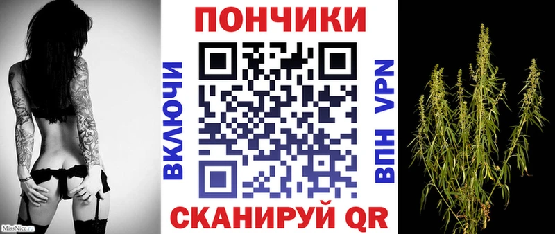 hydra как войти  Фурманов  Бошки Шишки планчик 